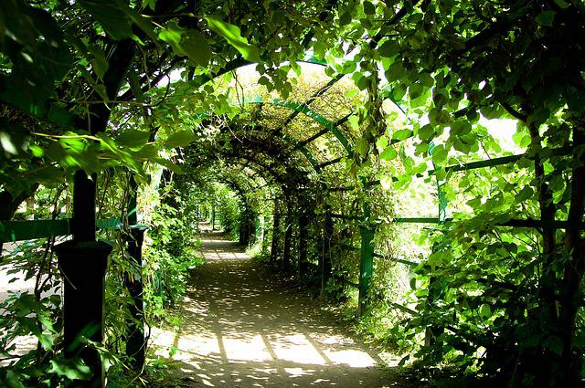 tunel